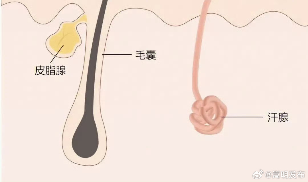 嵩明发布