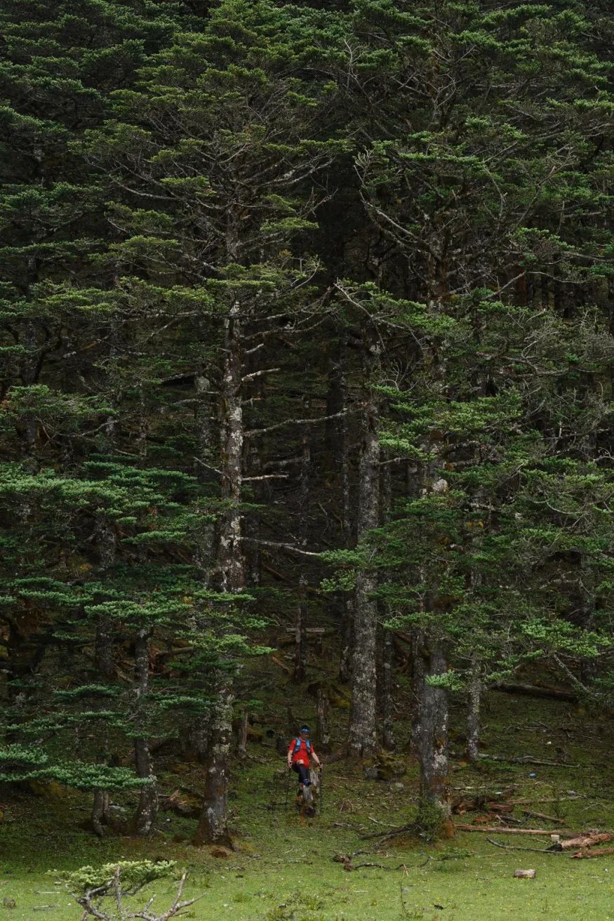 云南省文化和旅游厅