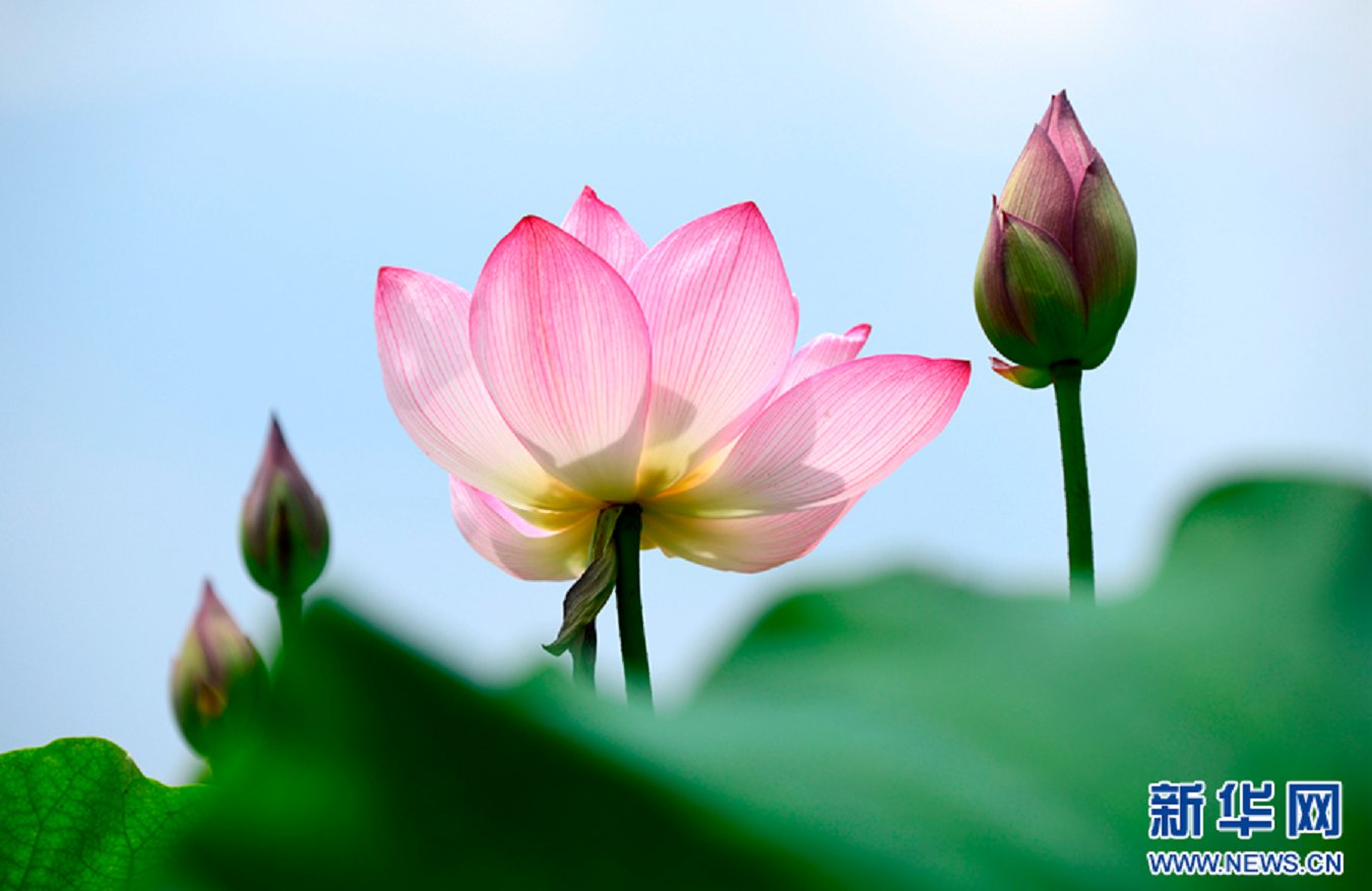 云南省文化和旅游厅