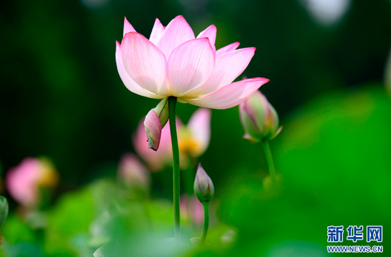 云南省文化和旅游厅