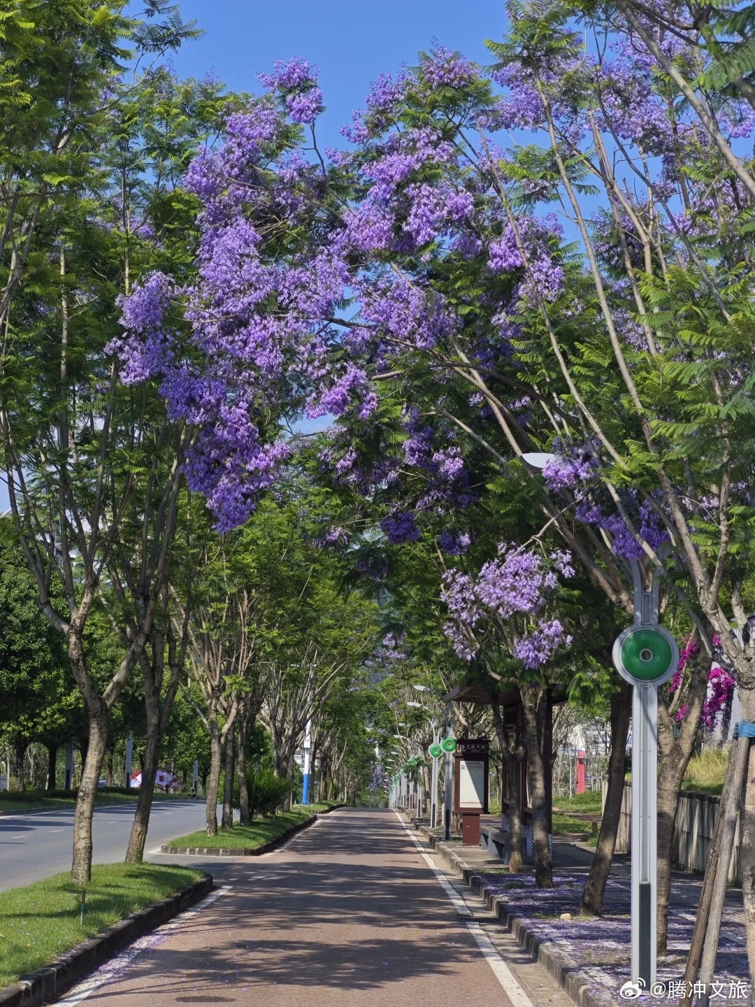 腾冲文旅