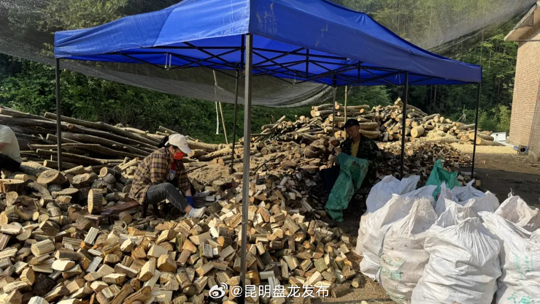 昆明盘龙发布