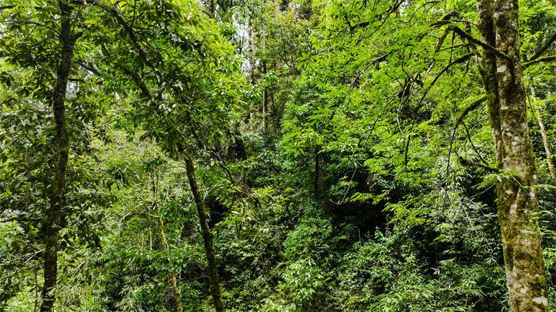 云南省文化和旅游厅