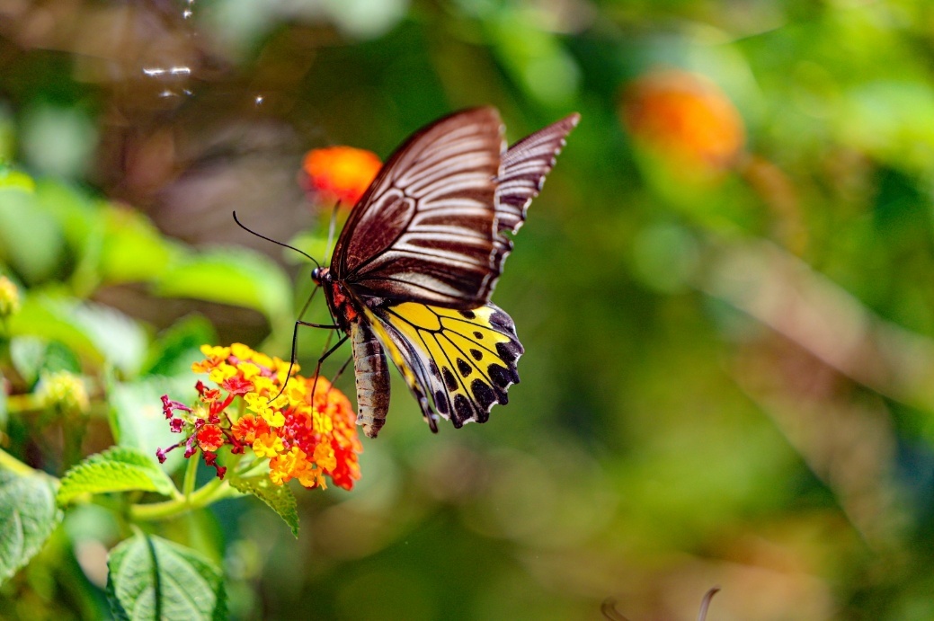 云南省文化和旅游厅