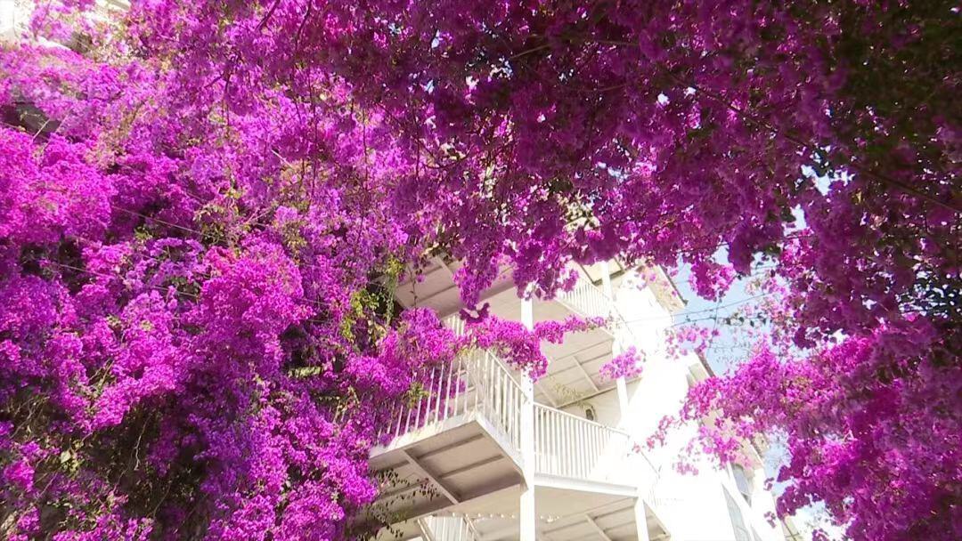 云南省文化和旅游厅