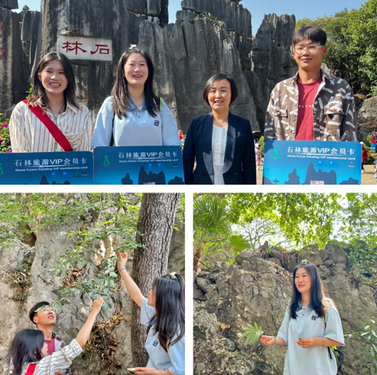 石林旅游网