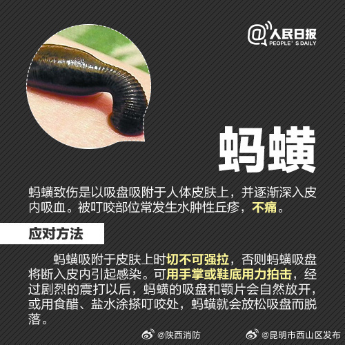 昆明市西山区发布