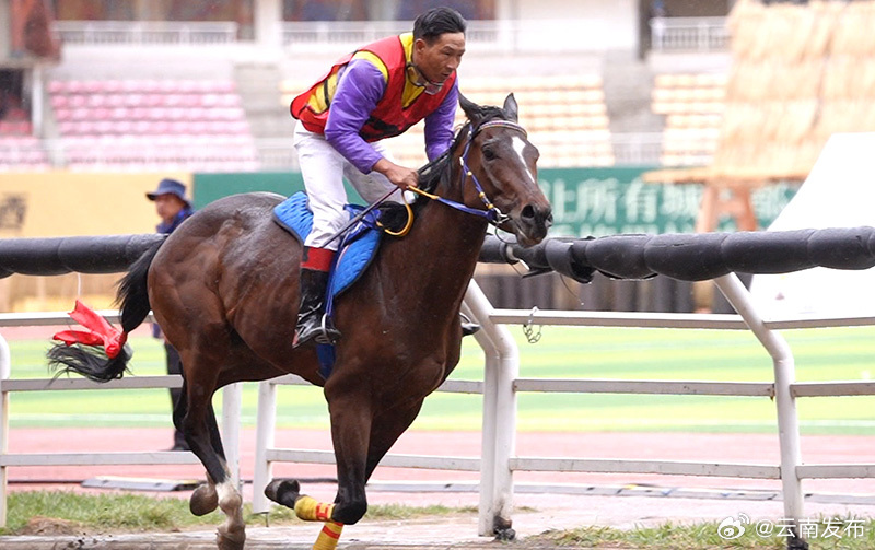 迪庆·香格里拉赛马会系列活动将于6月10日启幕
