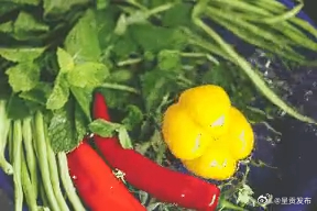 为什么不建议蔬菜洗干净放冰箱