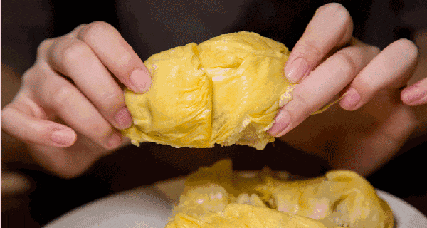 金枕榴莲适合初级榴莲爱好者