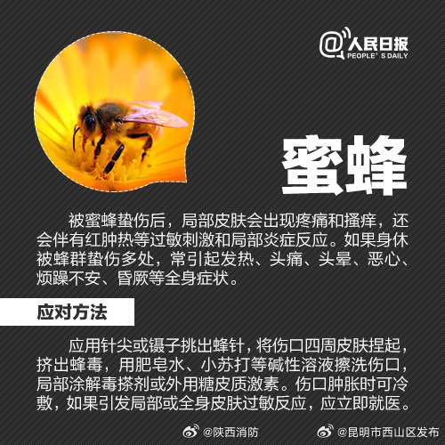 昆明市西山区发布