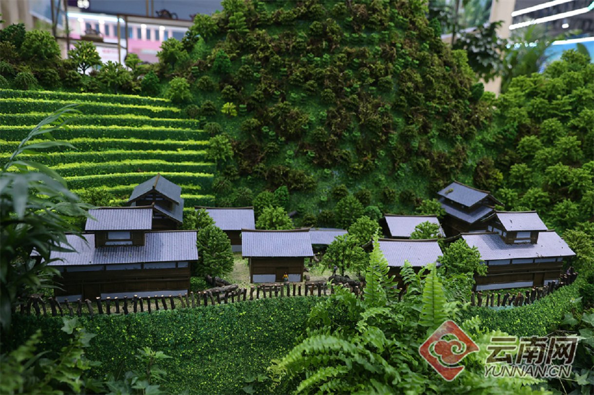 云南省文化和旅游厅