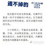 昆明市西山区发布