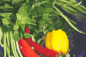 为什么不建议蔬菜洗干净放冰箱