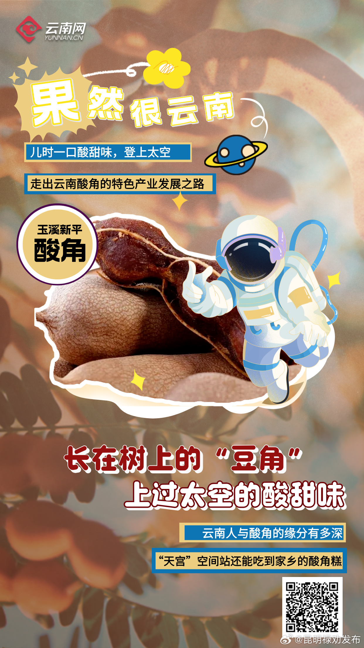 “果”然很云南丨长在树上的“豆角”是儿时的一口酸甜味