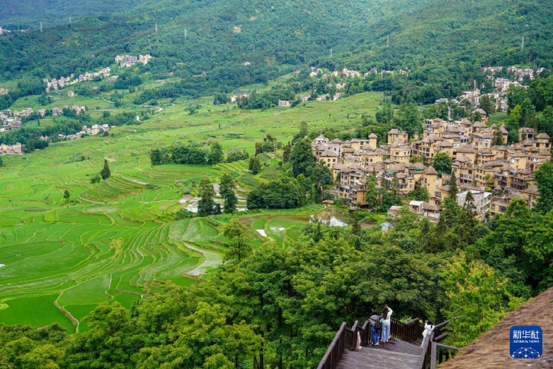 云南省文化和旅游厅