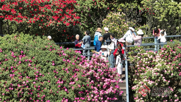 云南省文化和旅游厅