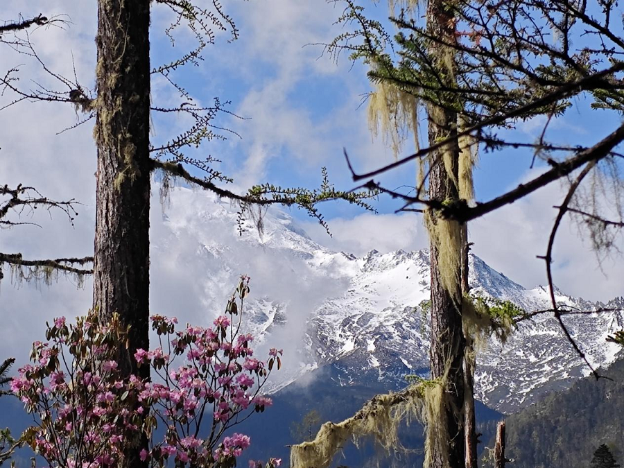 云南省文化和旅游厅