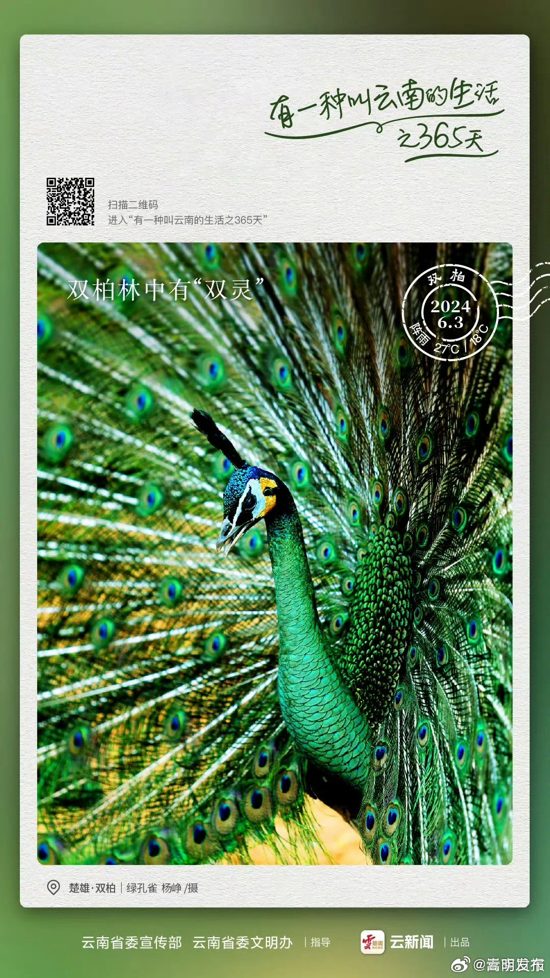 听！那是来自远山森林的声音——有一种叫云南的生活之365天