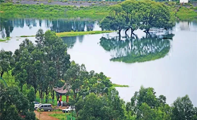 云南省文化和旅游厅