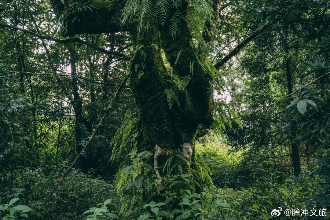腾冲文旅