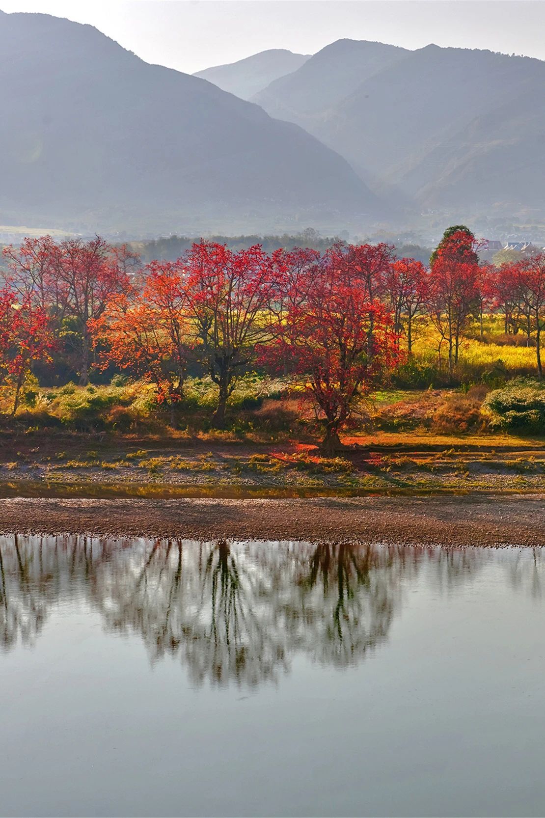 云南省文化和旅游厅
