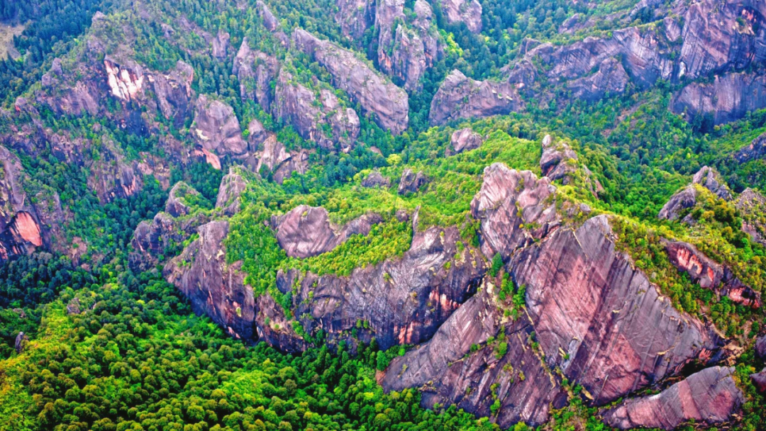 云南省文化和旅游厅