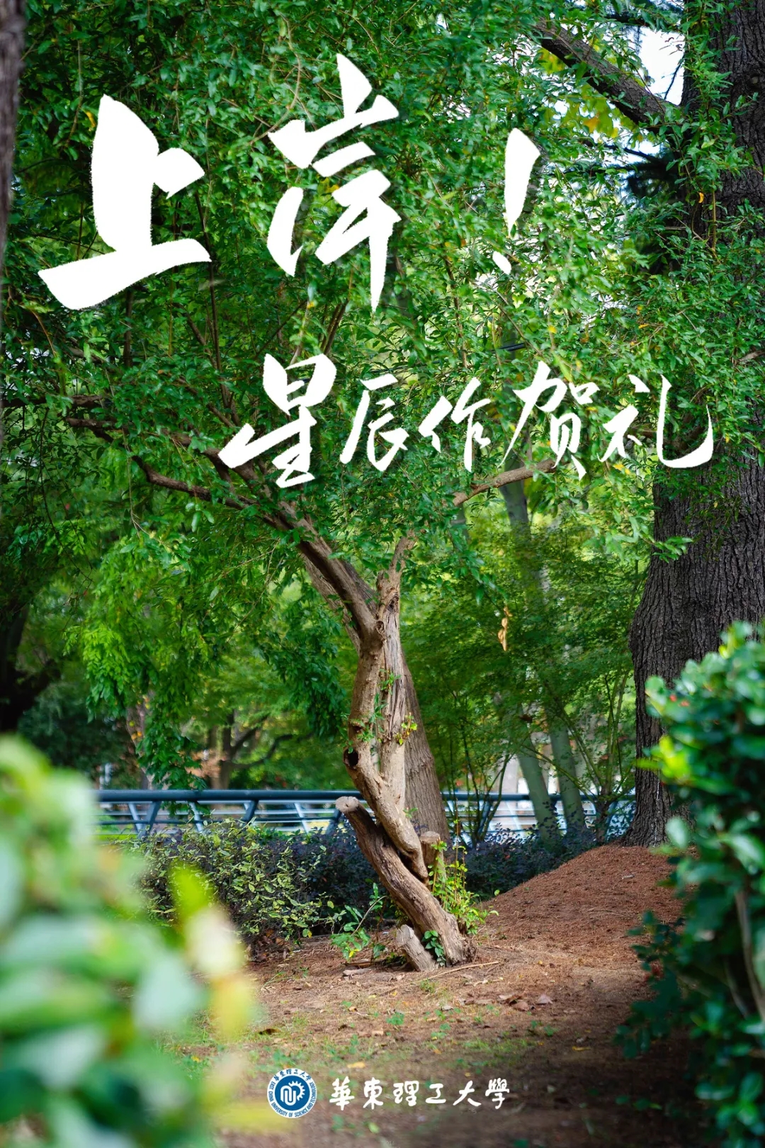 云南省招考频道