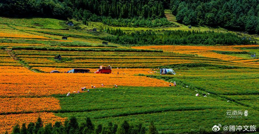 腾冲文旅