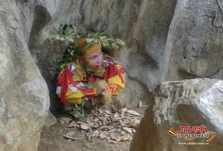 石林旅游网