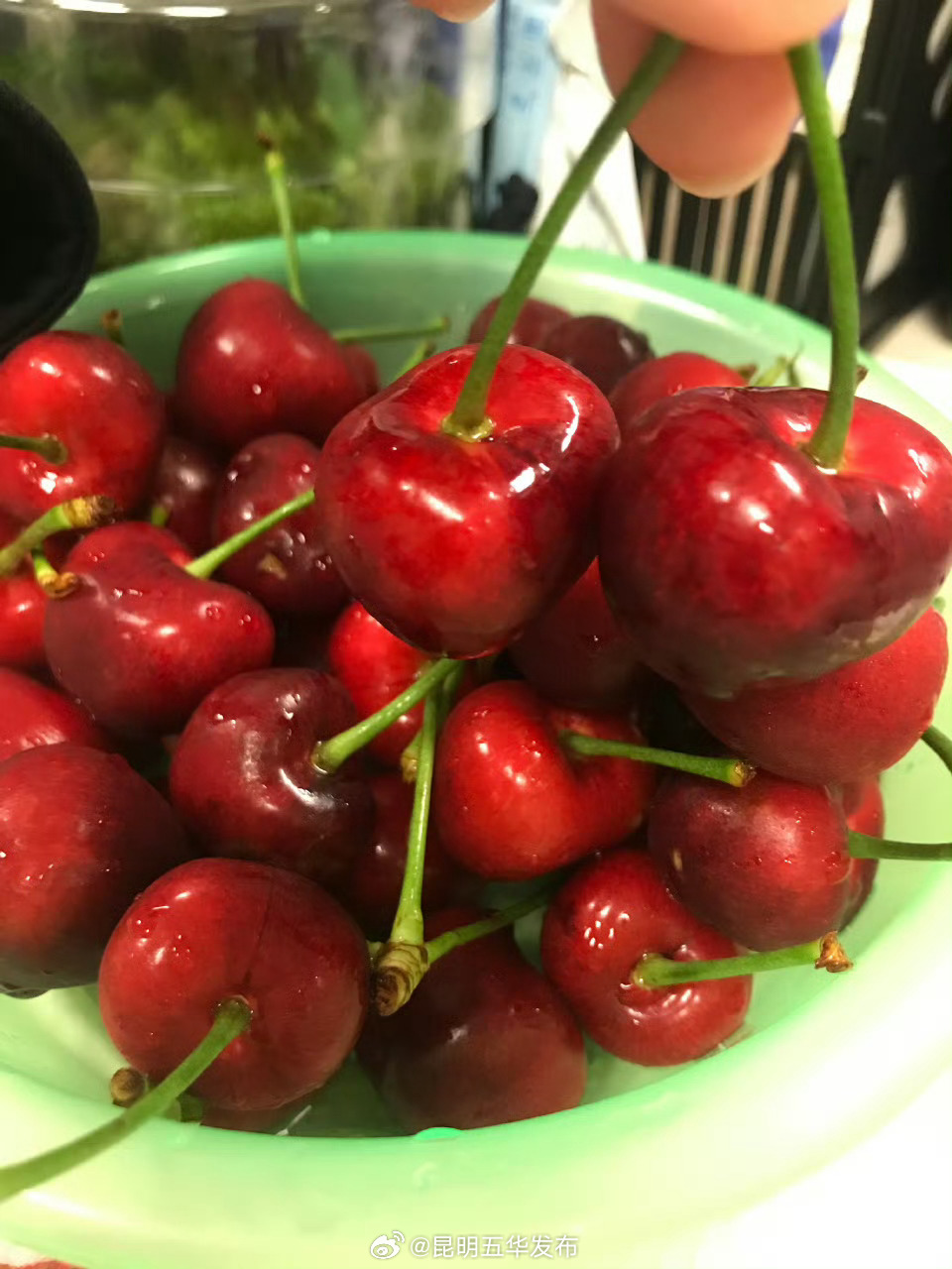 把樱桃核吃下去了会中毒吗