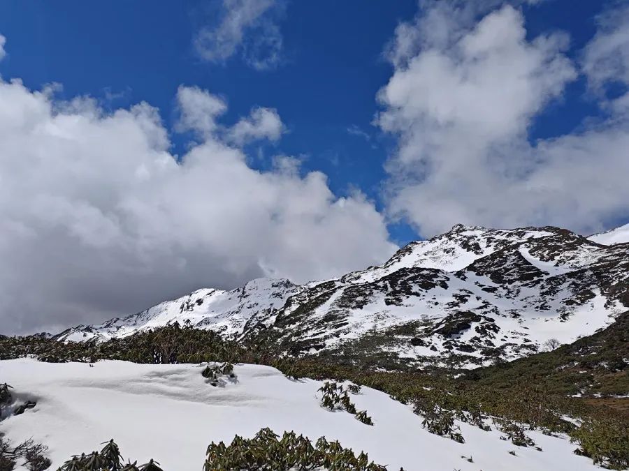 云南省文化和旅游厅