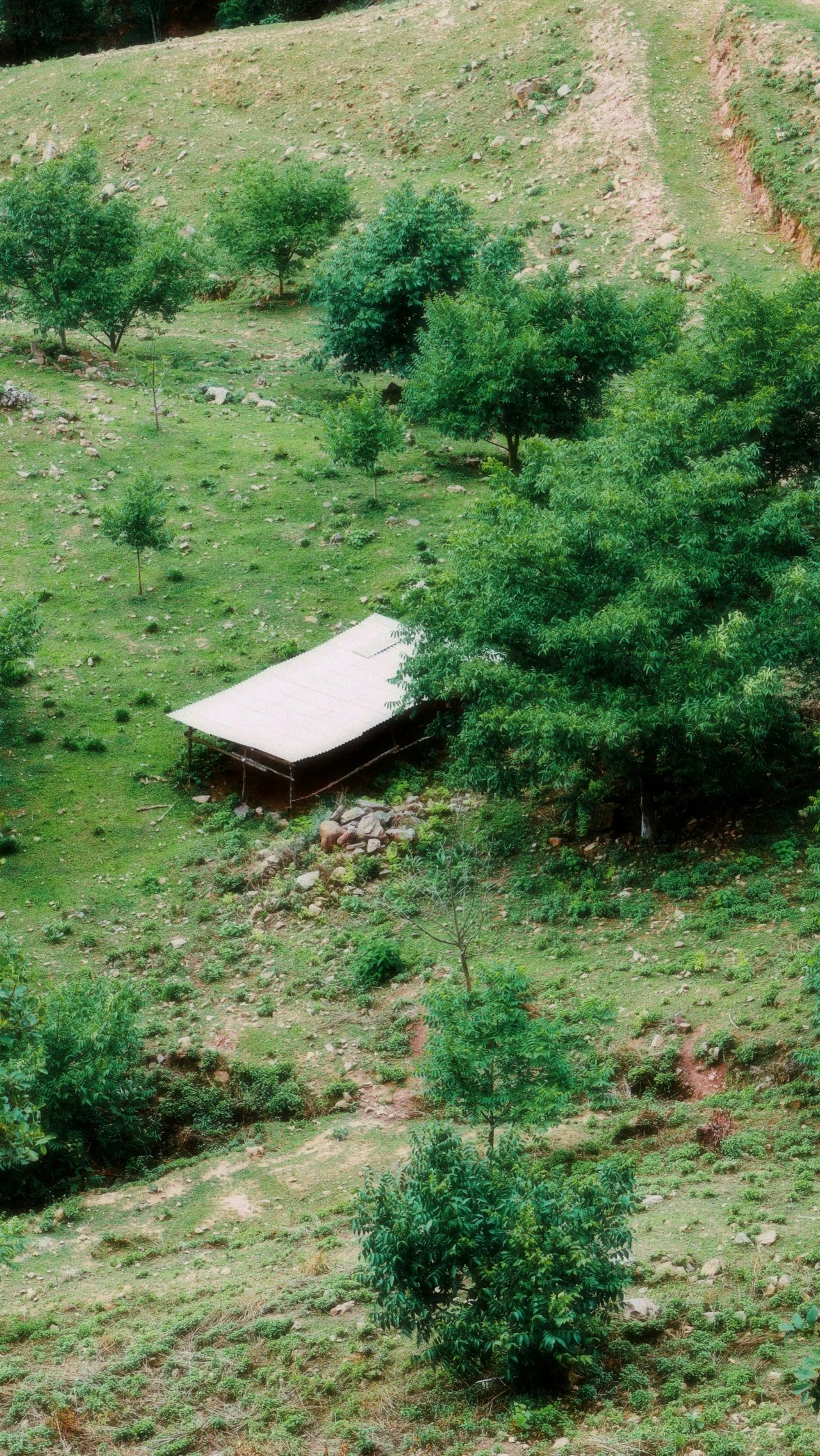 云南省文化和旅游厅