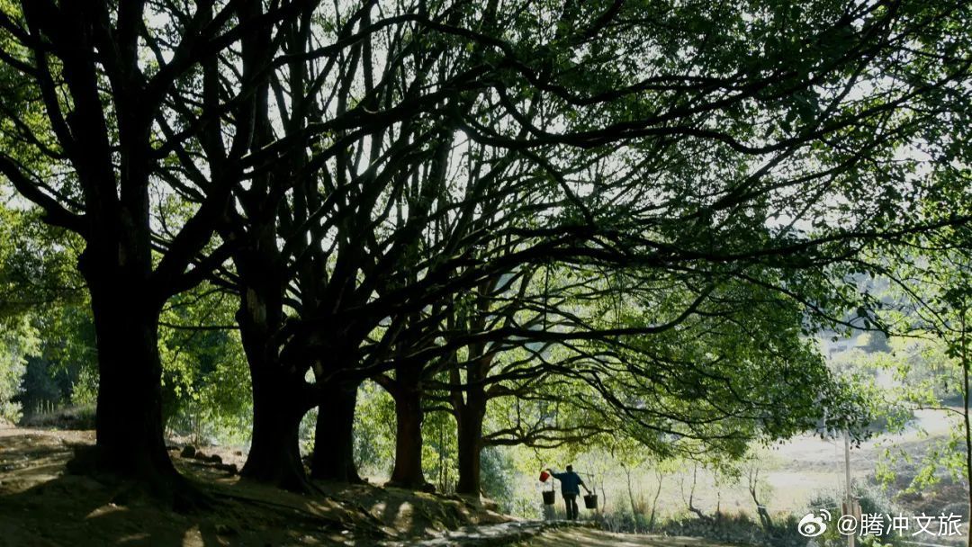 腾冲文旅