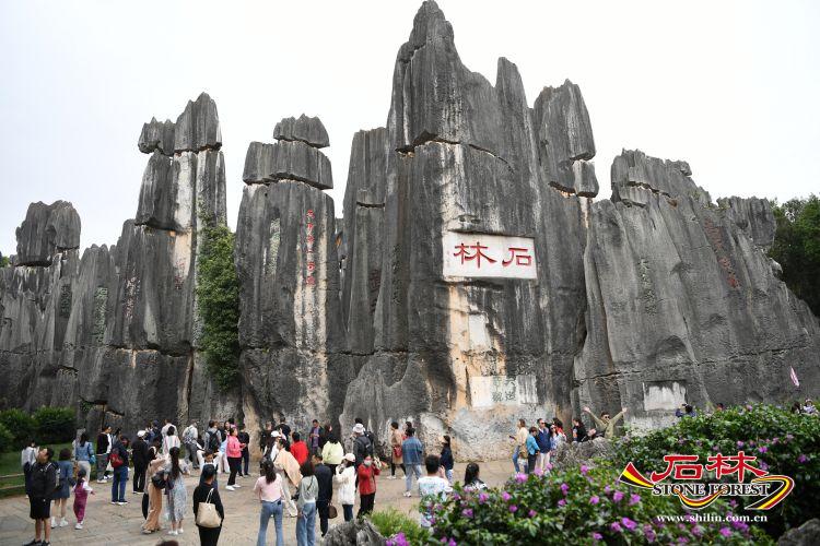 石林旅游网