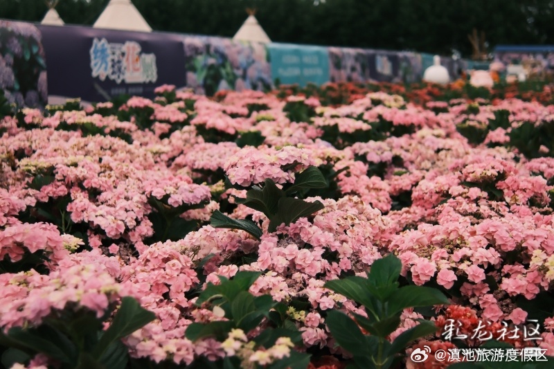 滇池旅游度假区