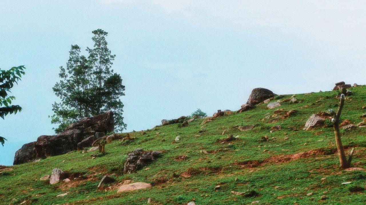 云南省文化和旅游厅