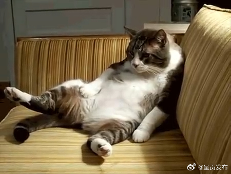 为什么总是运动完第二天肌肉酸痛