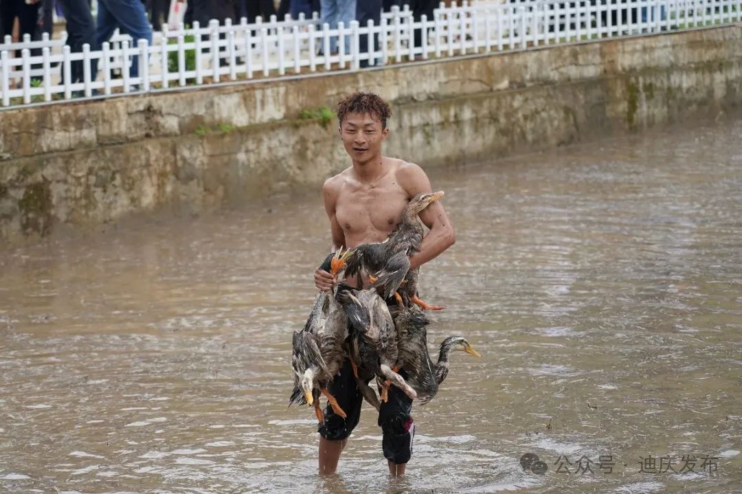 云南网