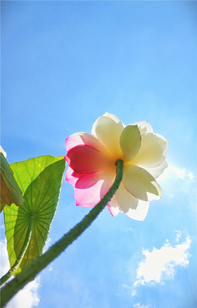 云南省文化和旅游厅