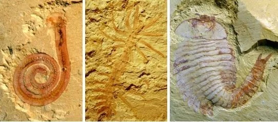 云南省文化和旅游厅