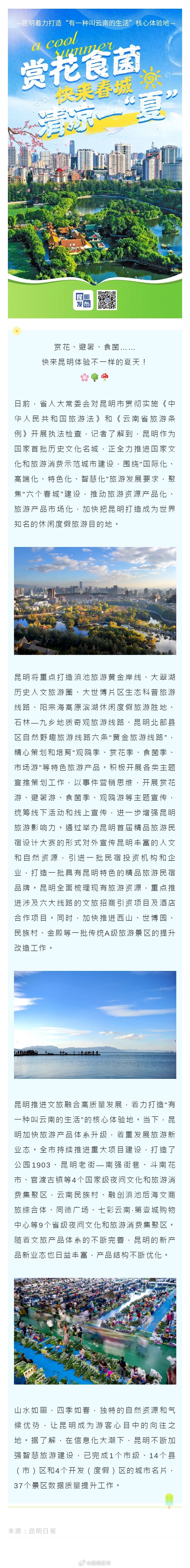 赏花、避暑、食菌……快来昆明体验不一样的夏天！