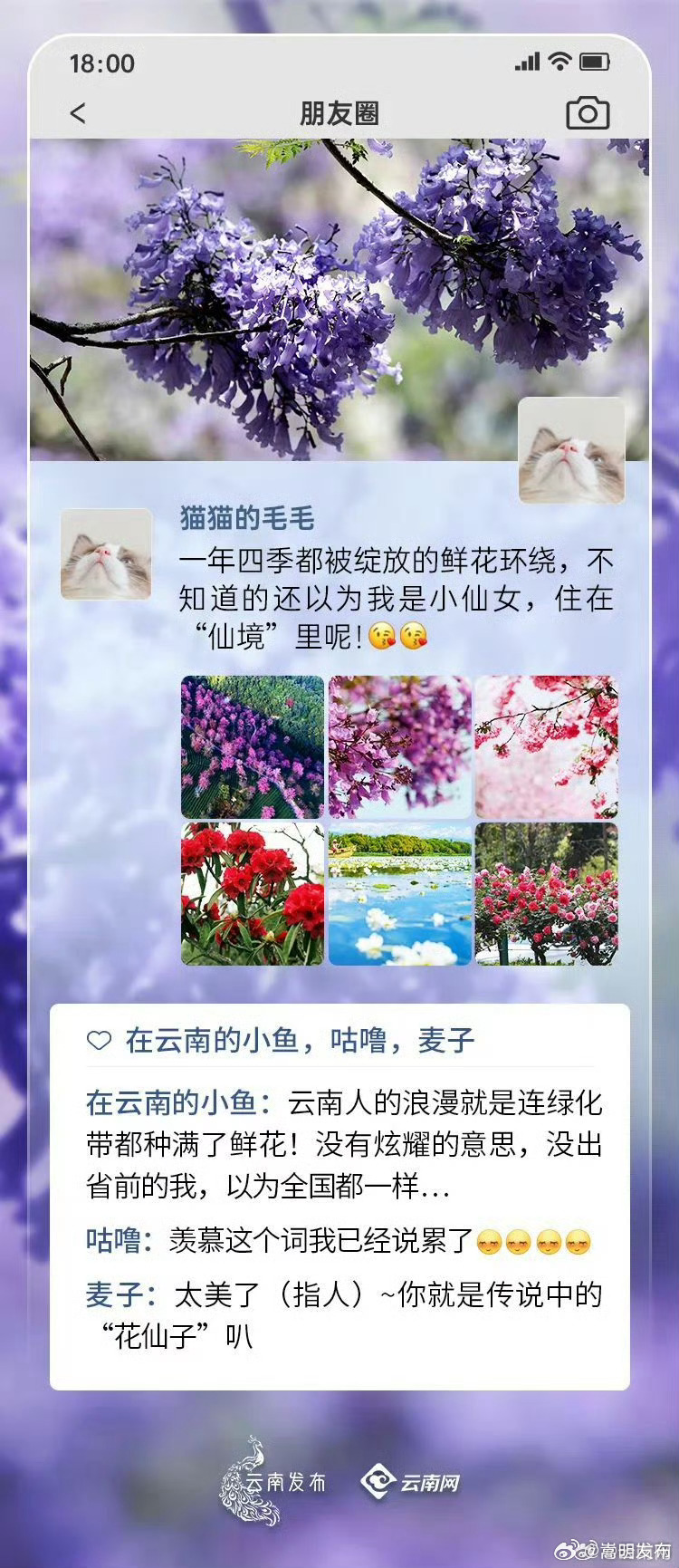 嵩明发布