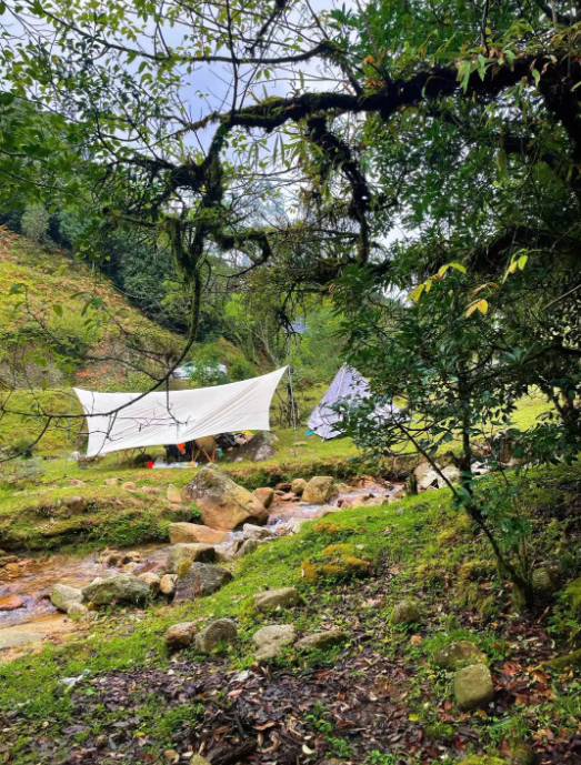 云南省文化和旅游厅