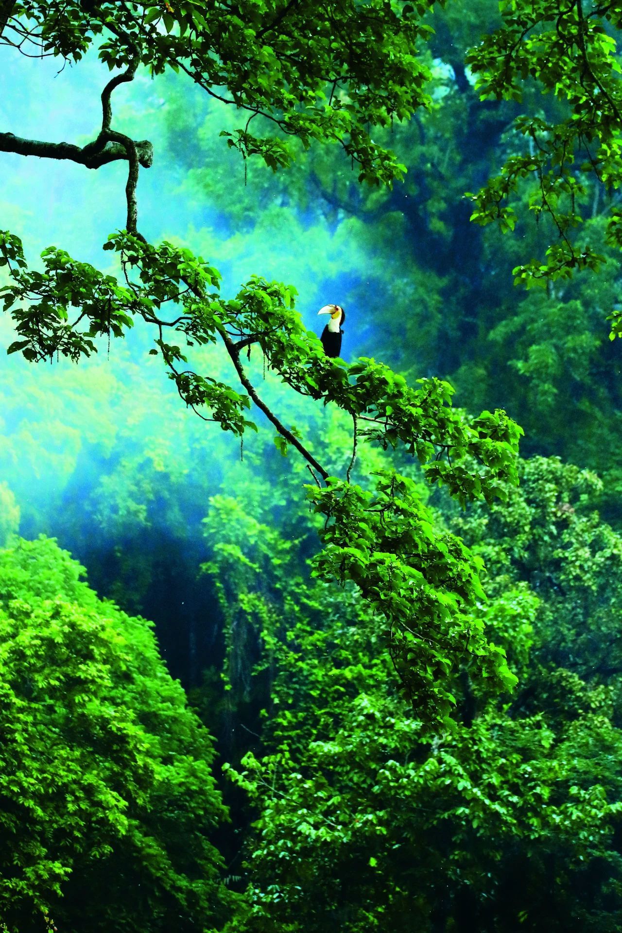 云南省文化和旅游厅