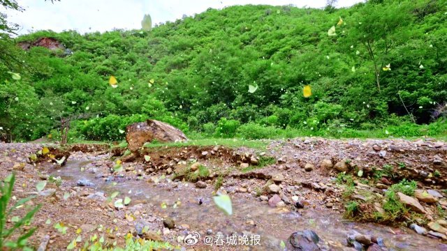 春城晚报