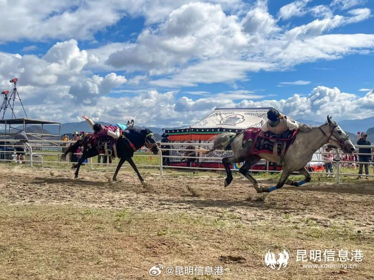 昆明信息港微博