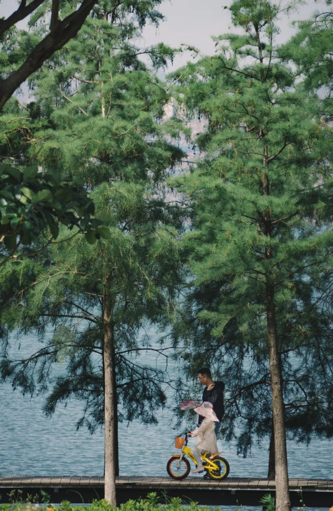 云南省文化和旅游厅