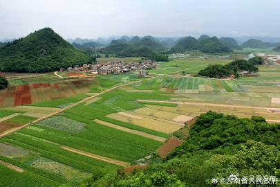 云南2023年违法占耕比例降至7.6%