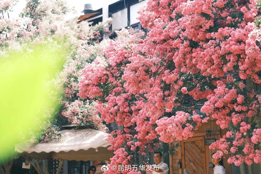 昆明五华发布